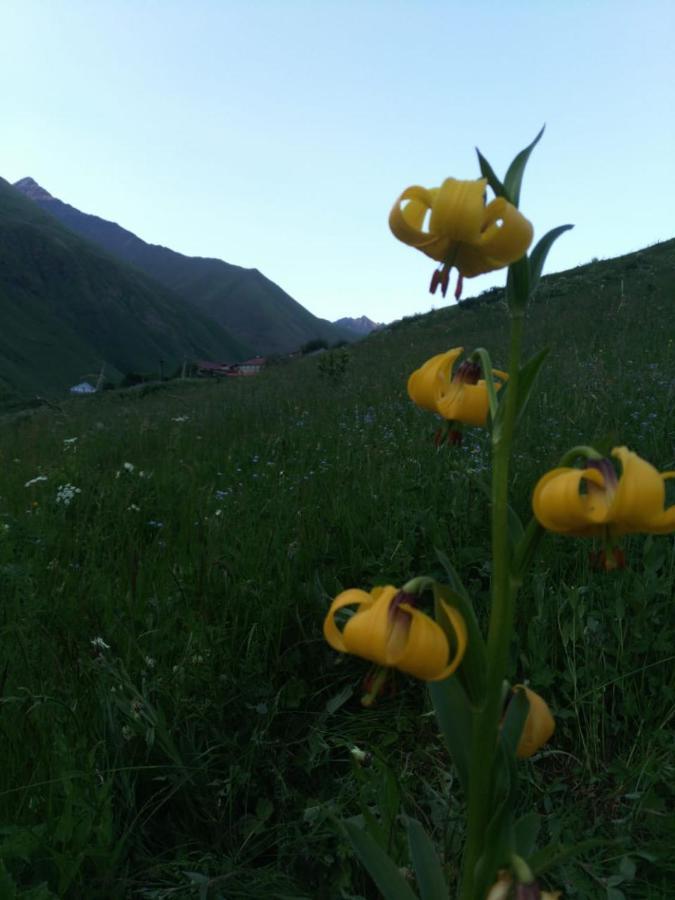 B & B Juta Kazbegi Exterior foto